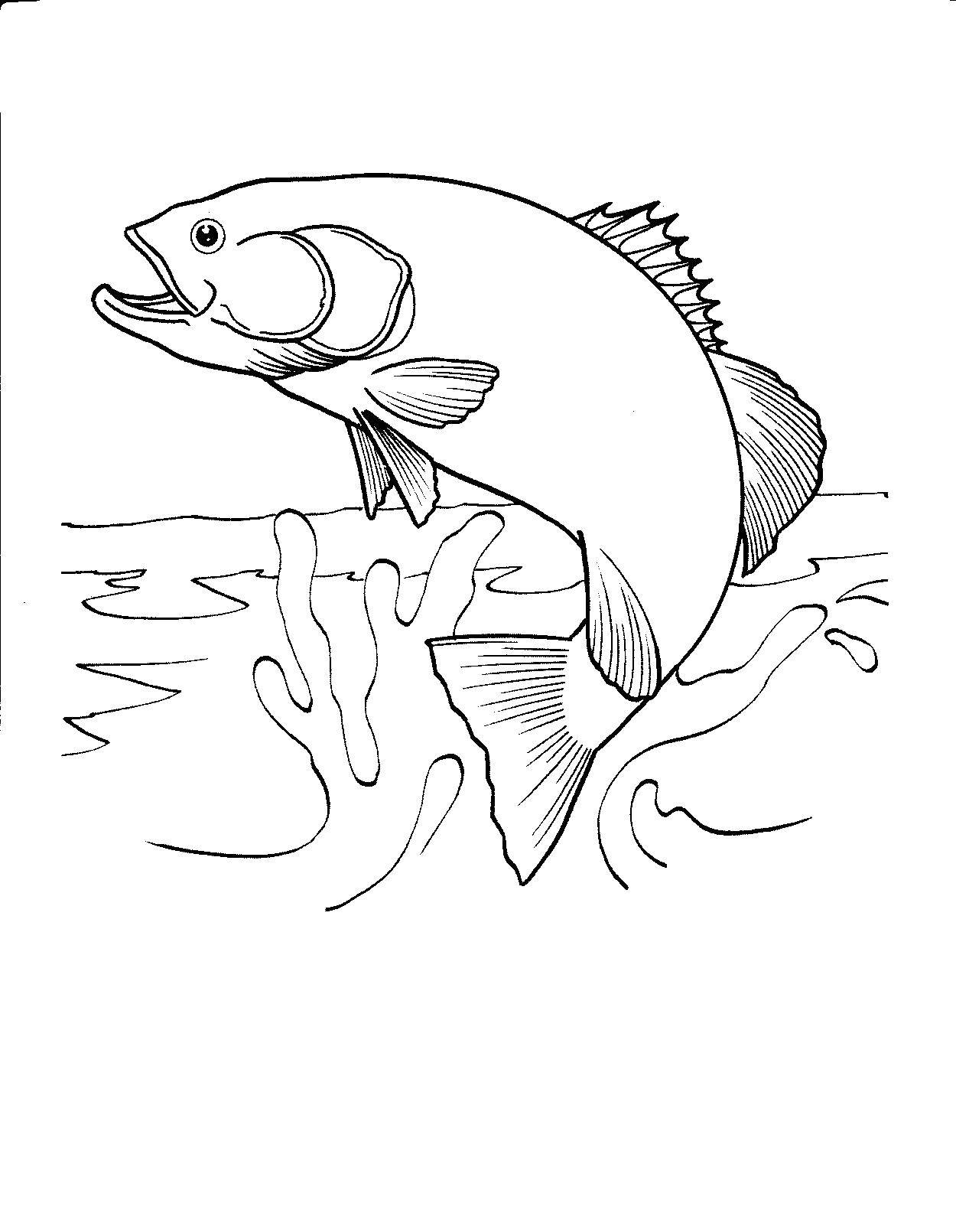 Название: Раскраска Щука в воде. Категория: Морские животные. Теги: щука, вода, брызги.