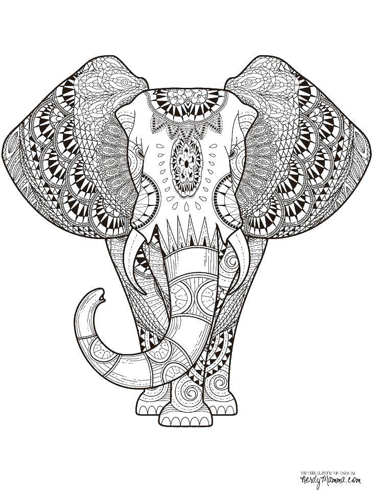Название: Раскраска Слон. Категория: Антистресс. Теги: антистресс, узоры, слон, Индия.