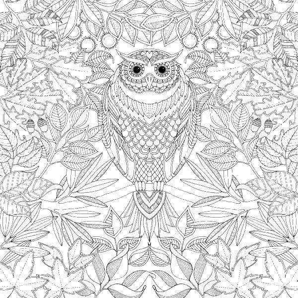 Coloring The owl and the leaves. Category coloring. Tags:  owls, antistress, uzorchiki, leaves.