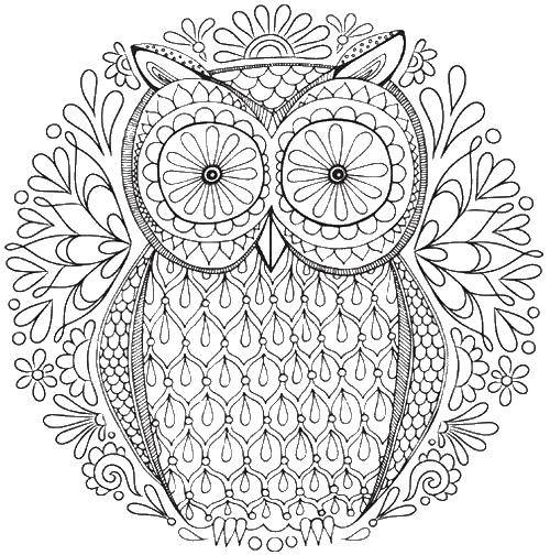 Coloring Owl with big eyes. Category Patterns. Tags:  patterns, anti-stress, owls.