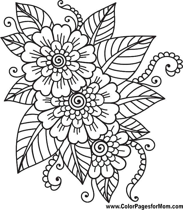 Coloring Flowers with leaves. Category flowers. Tags:  flowers, patterns, leaves.