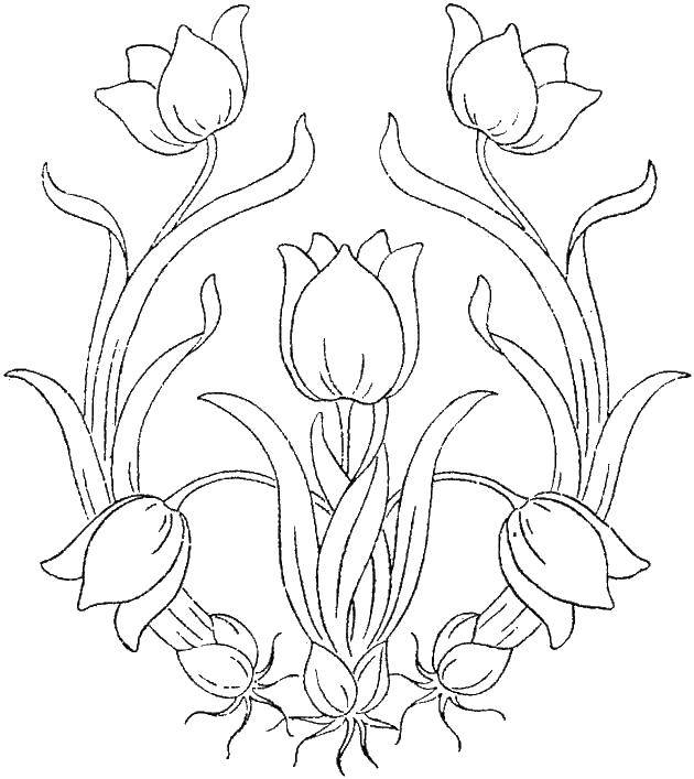 Название: Раскраска Узор с тюльпанами. Категория: Узоры с цветами. Теги: узоры, цветы, тюльпаны.