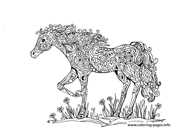 Название: Раскраска Узорный конь на лугу. Категория: раскраски для подростков. Теги: Антистресс.