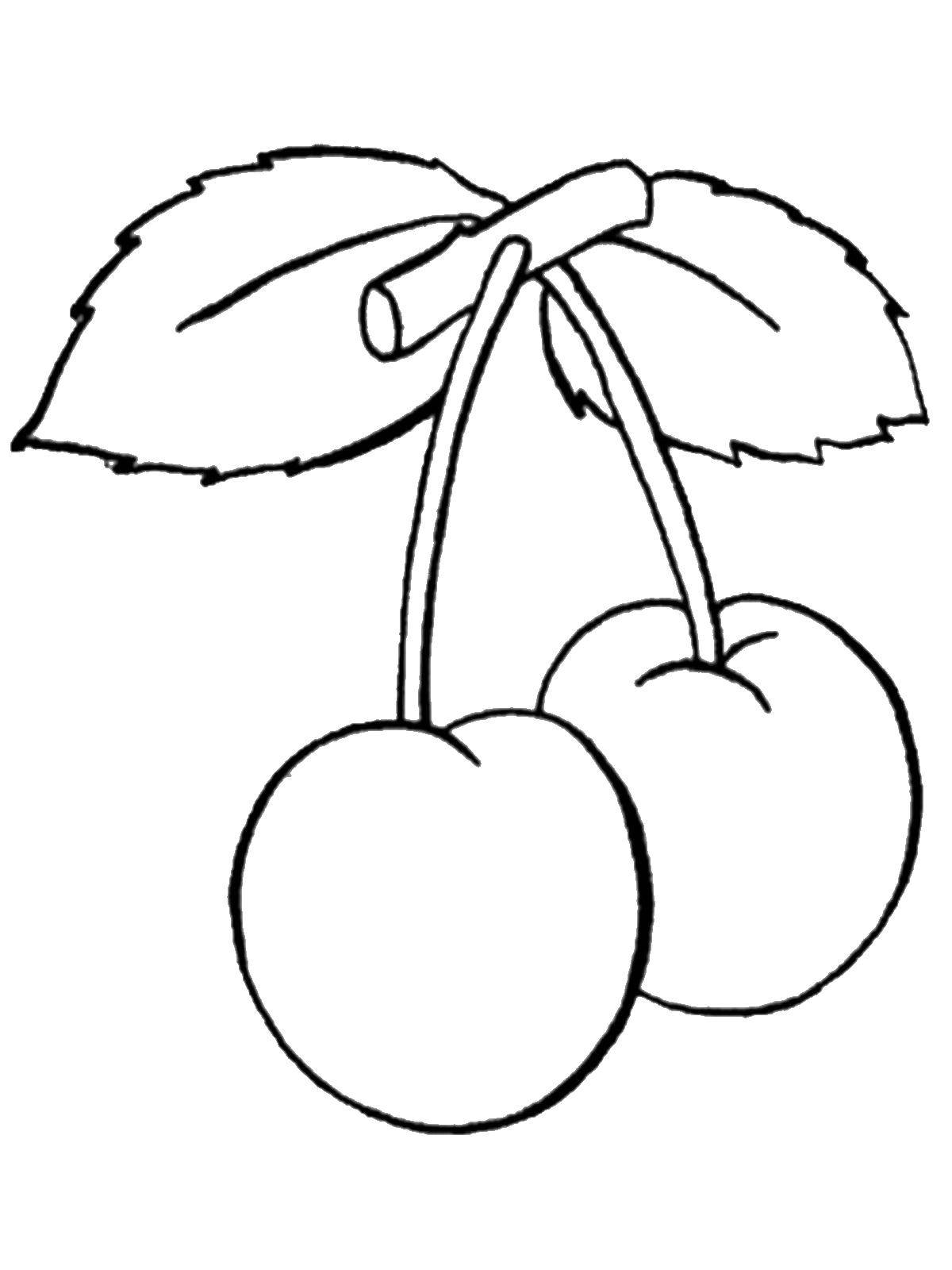 Название: Раскраска Вишни на веточке. Категория: ягоды. Теги: Ягоды, вишня.