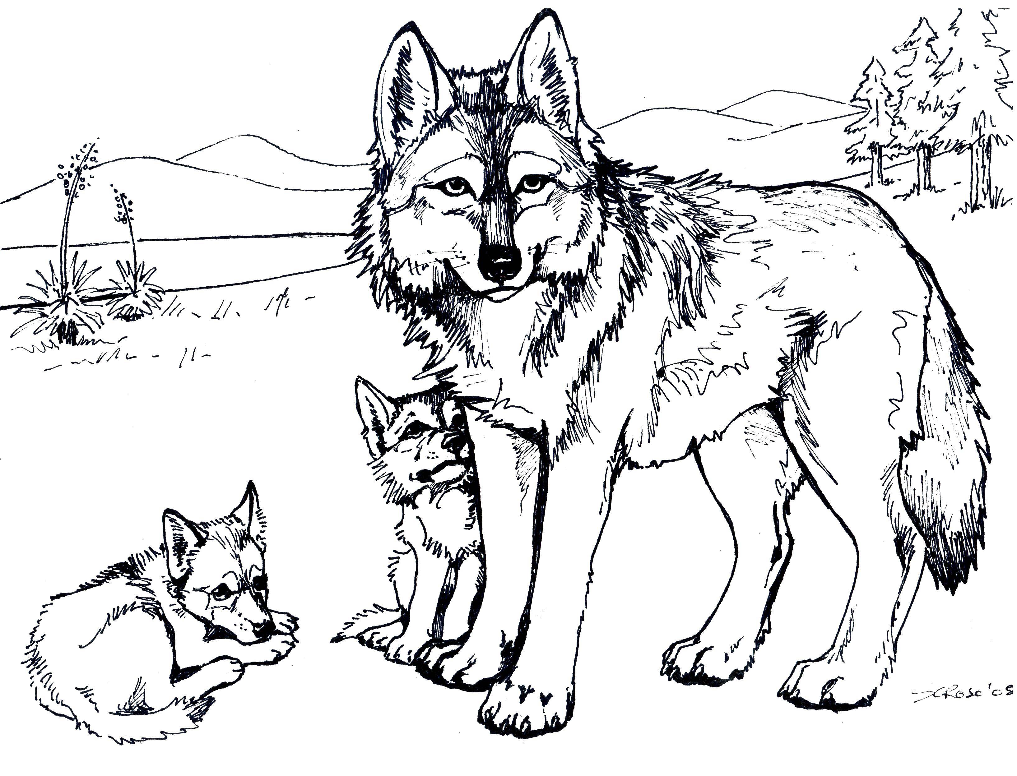 Название: Раскраска Волк и колчата. Категория: волк. Теги: волки, природа, животные.