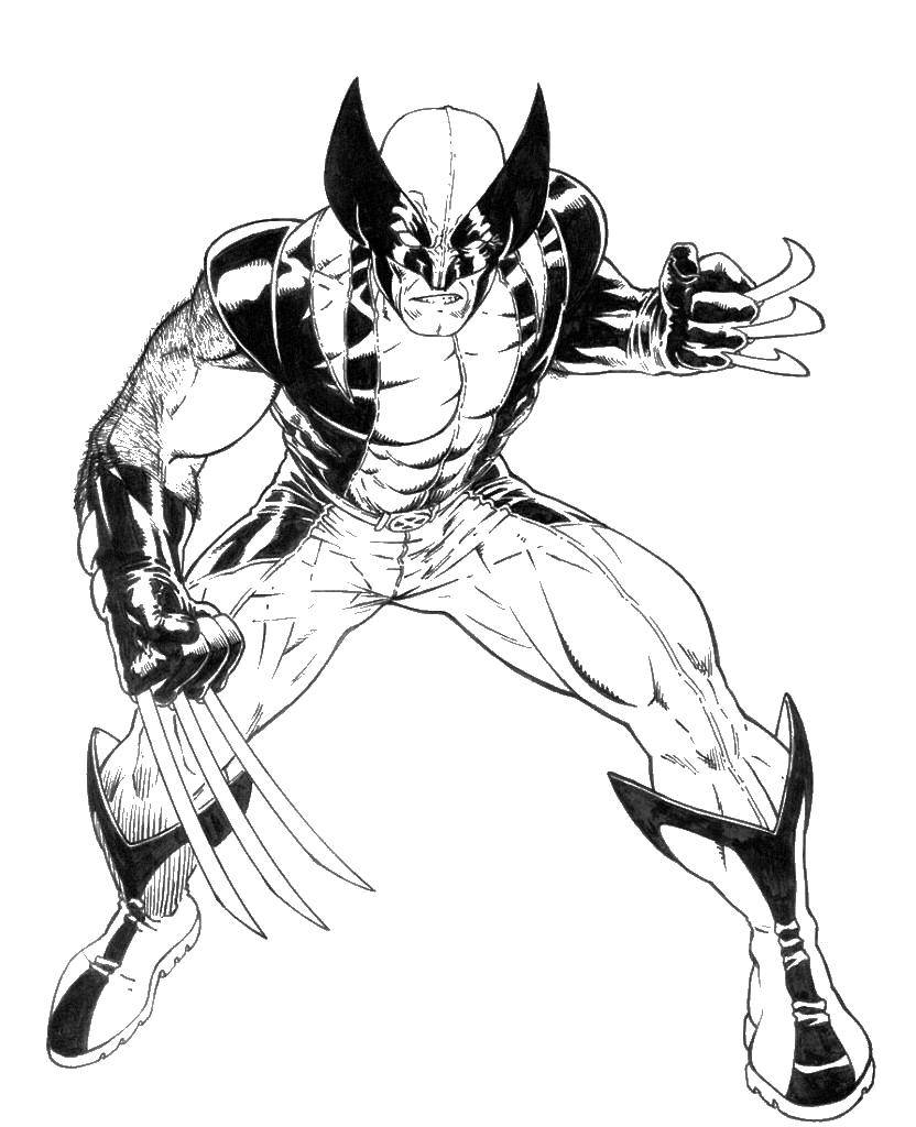 Coloring Angry Wolverine. Category superheroes. Tags:  superheroes, Wolverine, blade.