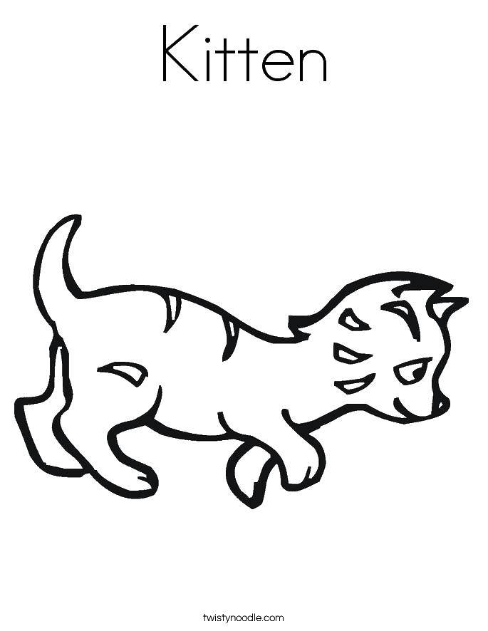 Название: Раскраска Бежащий котенок. Категория: Коты и котята. Теги: коты, котята, кошки.