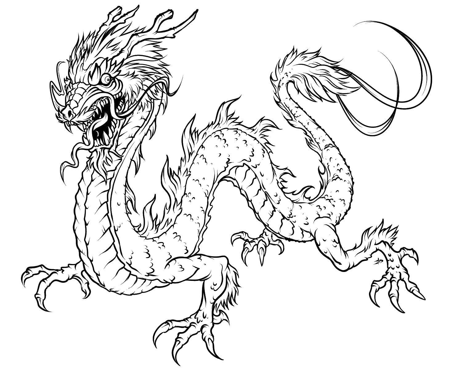 Coloring Dragon. Category Dragons. Tags:  dragon, fire, wings, China.