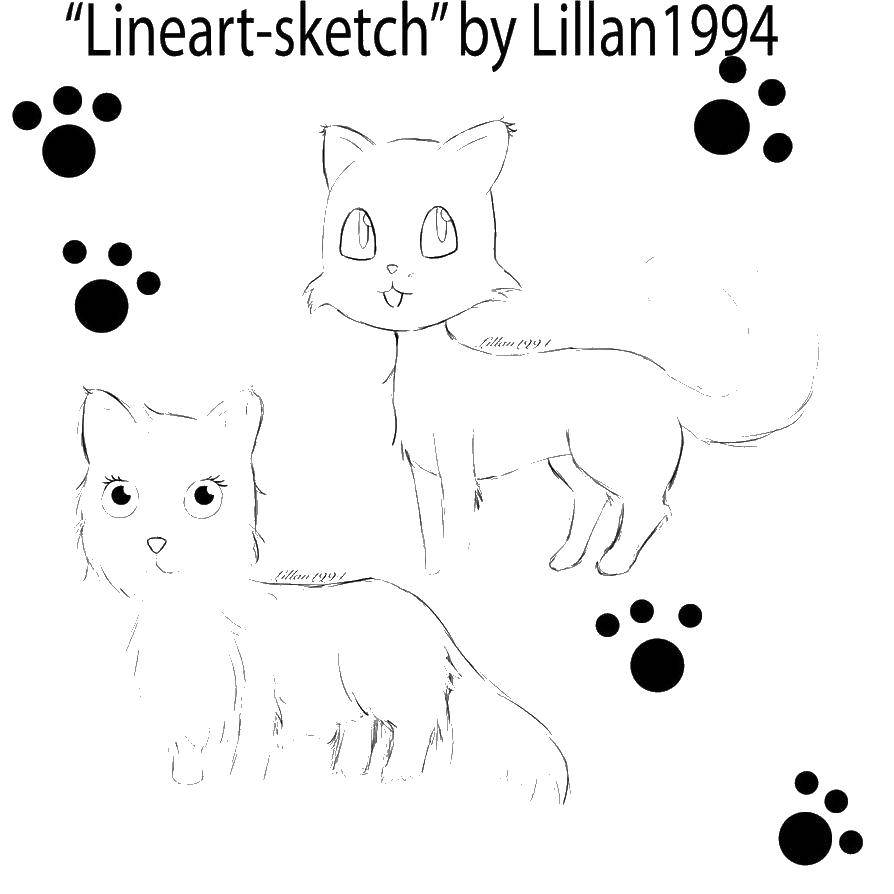 Coloring Two kittens and traces. Category seals. Tags:  kittens, paws, traces.