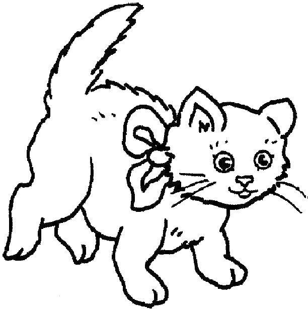 Название: Раскраска Игривый котенок. Категория: Коты и котята. Теги: коты, котята, кошки.