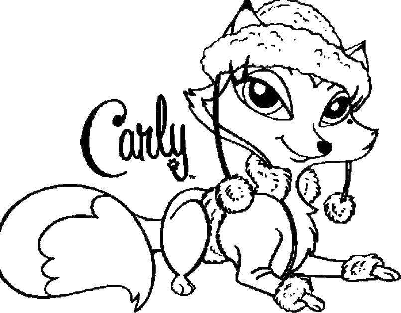 Coloring Carly Fox. Category wild animals. Tags:  Cartoon character.