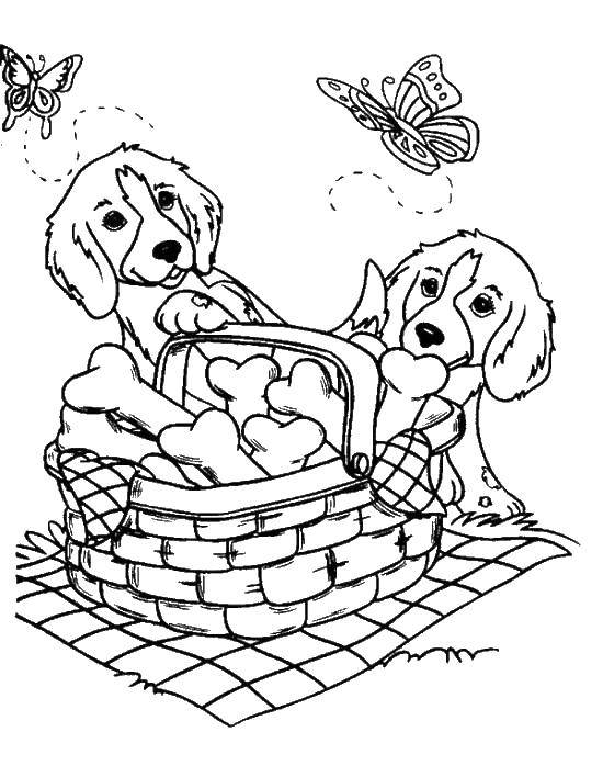 Coloring Basket of bones. Category Animals. Tags:  Animals, dog.