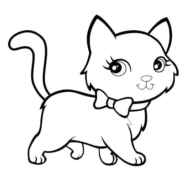 Название: Раскраска Кошечка с бантиком. Категория: Коты и котята. Теги: коты, кошки, котята.