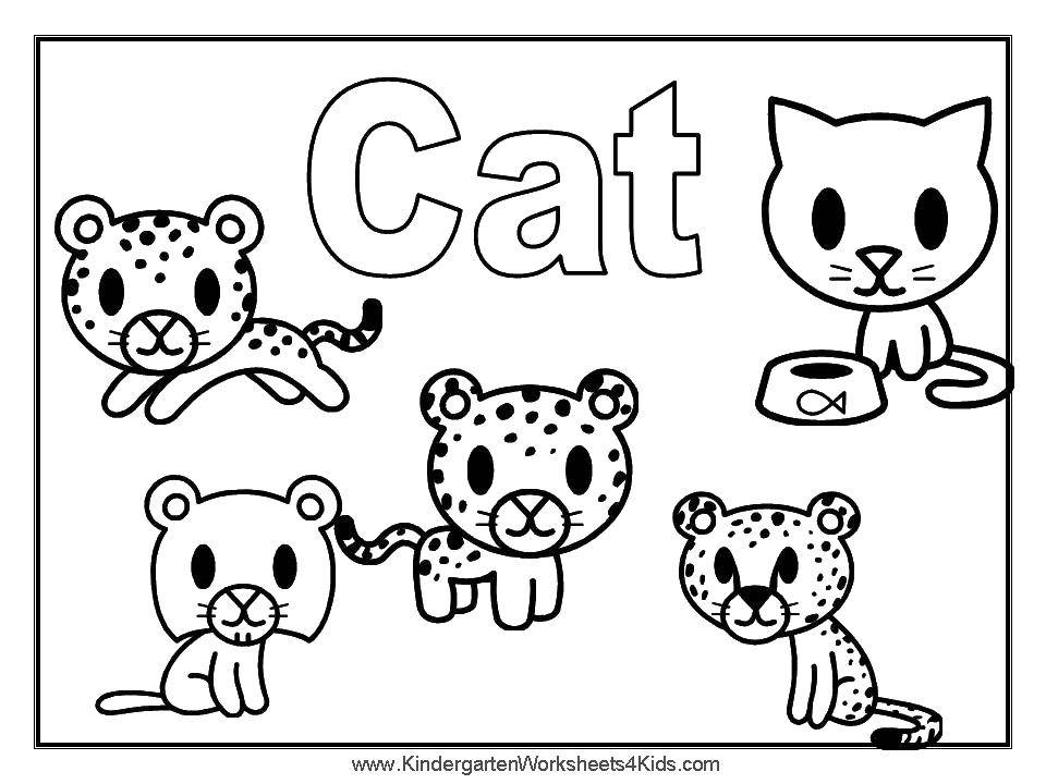 Название: Раскраска Кошка. Категория: Коты и котята. Теги: коты, котята, кошки, английский.