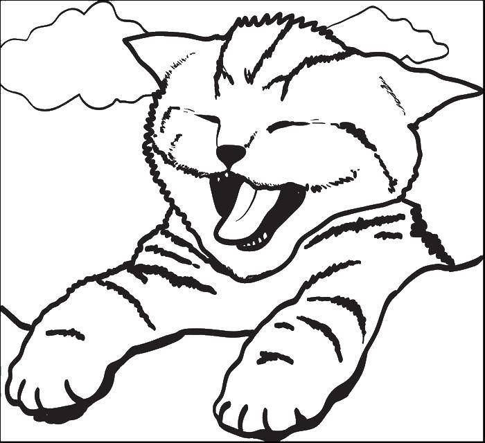 Название: Раскраска Котено зевает. Категория: Коты и котята. Теги: коты, котята, кошки, зевок.