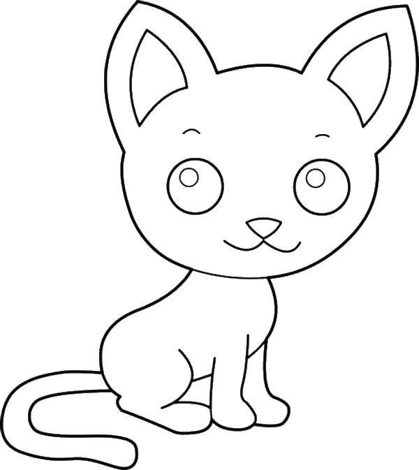 Название: Раскраска Котенок с болььшими ушками. Категория: Коты и котята. Теги: коты, котята, кошки.