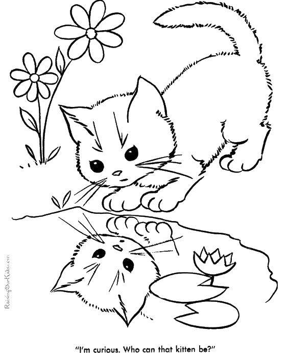 Название: Раскраска Котенок у лужи. Категория: Коты и котята. Теги: котята, кошки, животные.