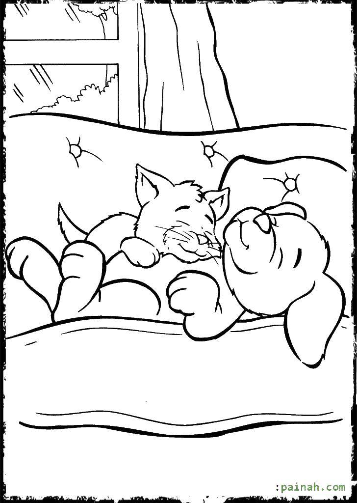 Название: Раскраска Котёнок спит на щенке. Категория: Животные. Теги: Животные, котёнок, щенок.