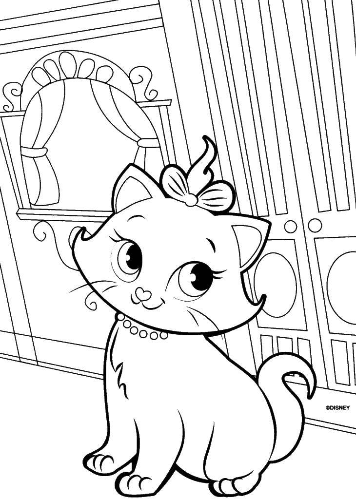 Название: Раскраска Красавица кошечка. Категория: Коты и котята. Теги: коты, котята, кошки.