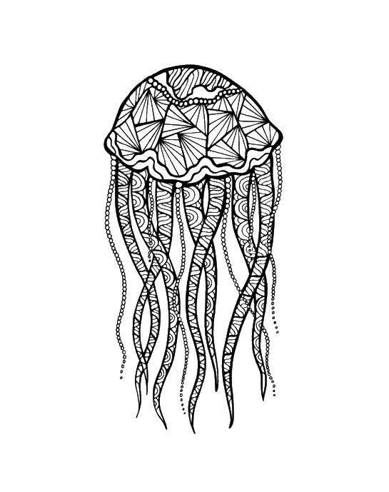 Название: Раскраска Красивые узоры на медузке. Категория: Морские обитатели. Теги: Подводный мир, медуза.