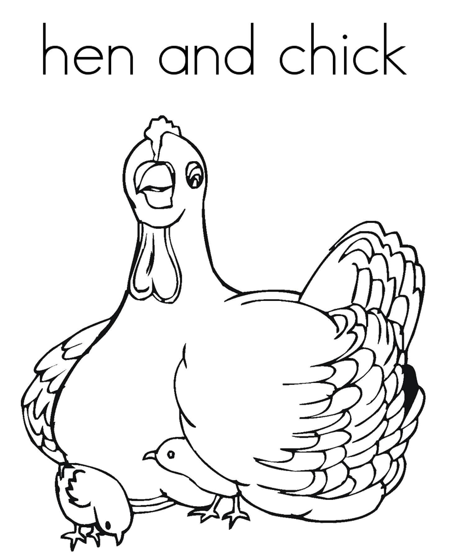 Название: Раскраска Курица и два цыпленка. Категория: птицы. Теги: курица, цыпленок.