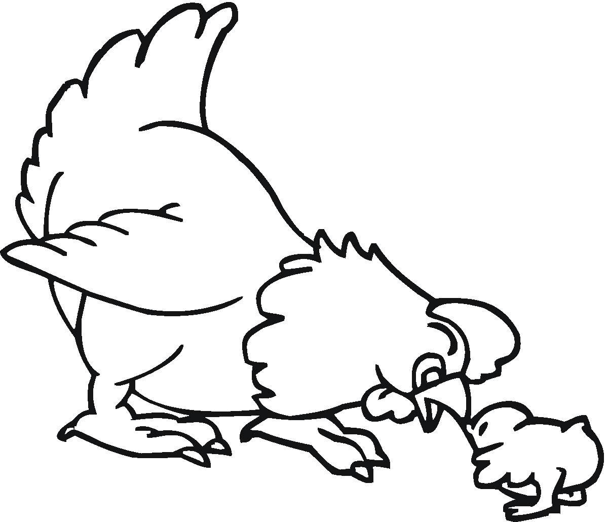 Coloring Hen and little chick. Category birds. Tags:  chicken, chicken.