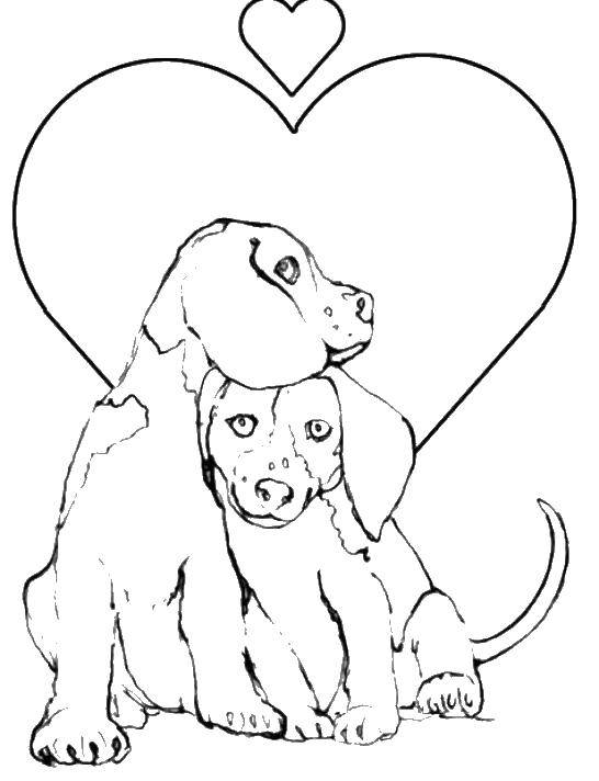 Название: Раскраска Любовь собачек. Категория: собаки. Теги: собачки, любовь, сердце.