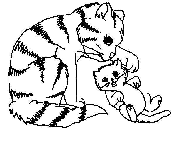 Coloring Mother cat with kitten plays. Category animals cubs . Tags:  Animals, kitten.