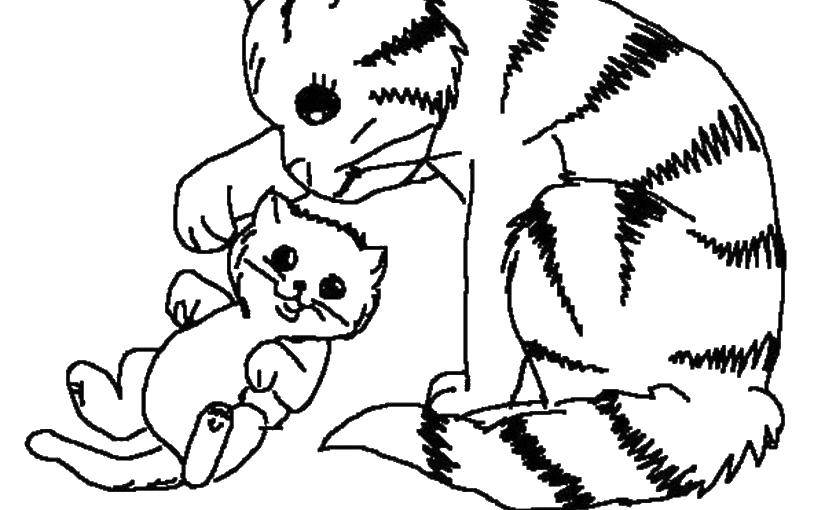 Coloring Mother cat with kitten plays. Category Cats and kittens. Tags:  Animals, kitten.