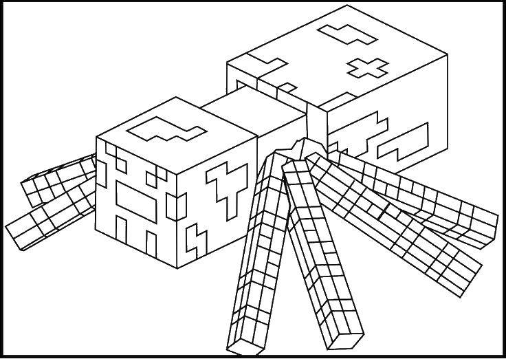 Coloring Minecraft, spider. Category The mainkrafta. Tags:  Games, Minecraft.
