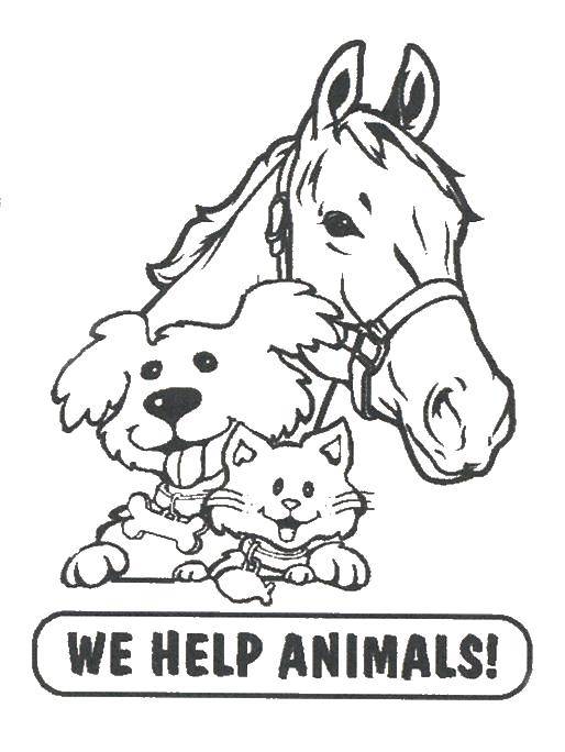 Название: Раскраска Мы помогаем животным. Категория: Животные. Теги: Животные, собака.