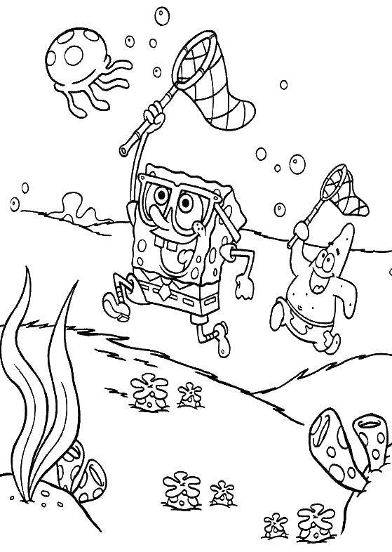 Название: Раскраска Охота на медуз!. Категория: Морские обитатели. Теги: Персонаж из мультфильма.