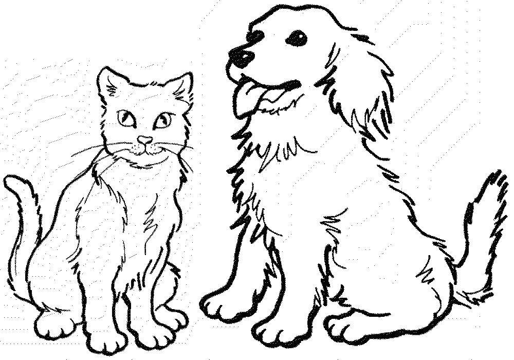 Coloring Dog and cat sitting together. Category Pets allowed. Tags:  Animals, kitten, puppy.