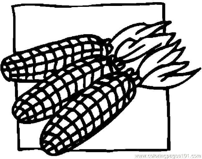 Название: Раскраска Три кукурузы. Категория: Кукуруза. Теги: початок, кукуруза.