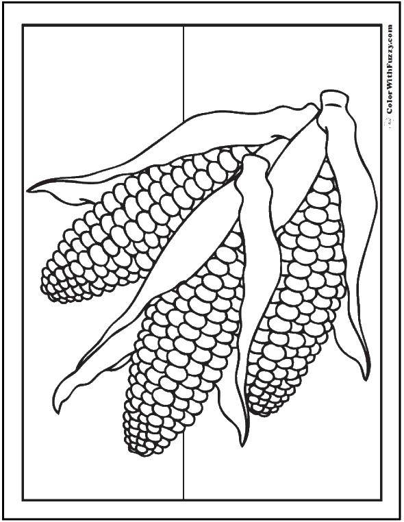 Название: Раскраска Три початка кукурузы. Категория: Кукуруза. Теги: початок, кукуруза.
