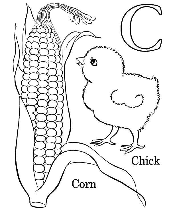 Название: Раскраска Цыпленок с кукурузой. Категория: Кукуруза. Теги: Овощи.