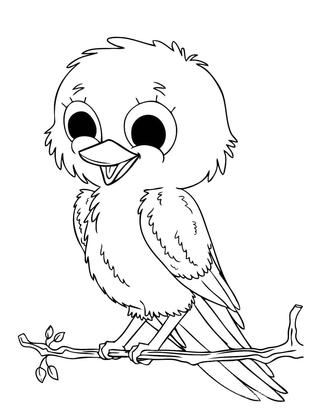 Coloring Cheerful bird sitting on a branch. Category birds. Tags:  Birds.