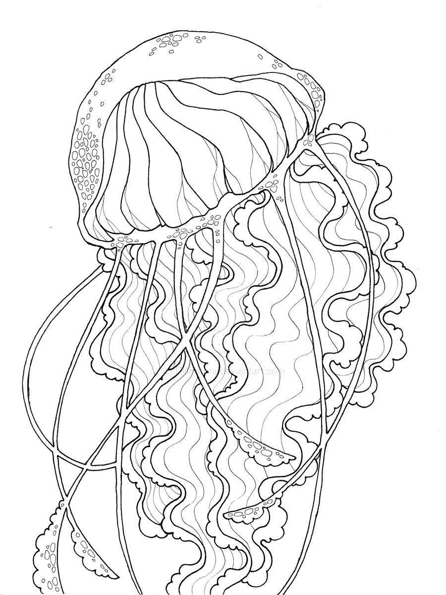 Название: Раскраска Волнистые шупальцы. Категория: Морские обитатели. Теги: Подводный мир, медуза.