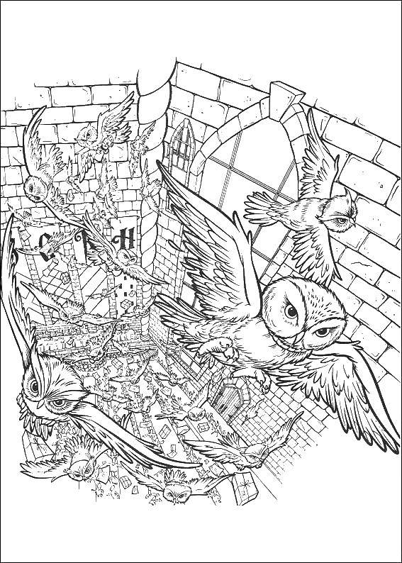 Название: Раскраска Замок и совы. Категория: птицы. Теги: замок, совы, крылья.
