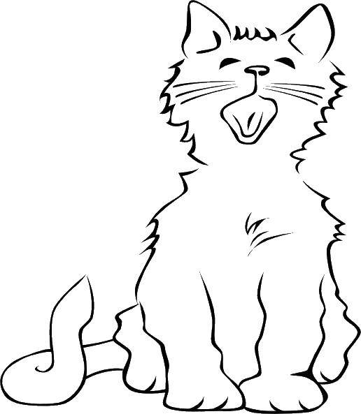 Название: Раскраска Зевающий котенок. Категория: Коты и котята. Теги: коты, котята, кошки.