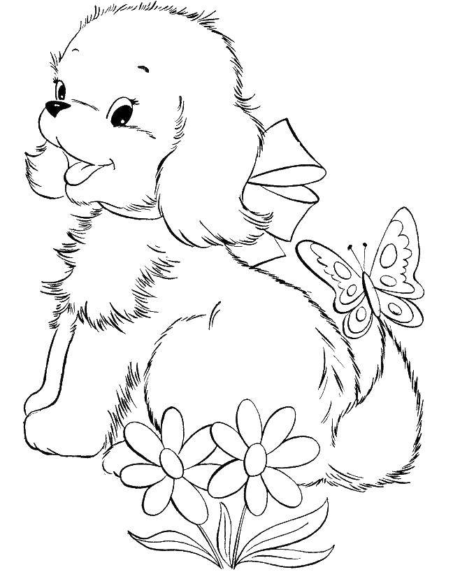 Coloring Butterfly on a tail of a dog. Category Pets allowed. Tags:  Animals, dog.