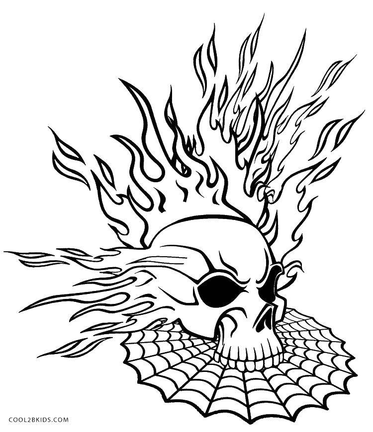 Coloring Skull on fire and the web. Category Skull. Tags:  Skull, fire.