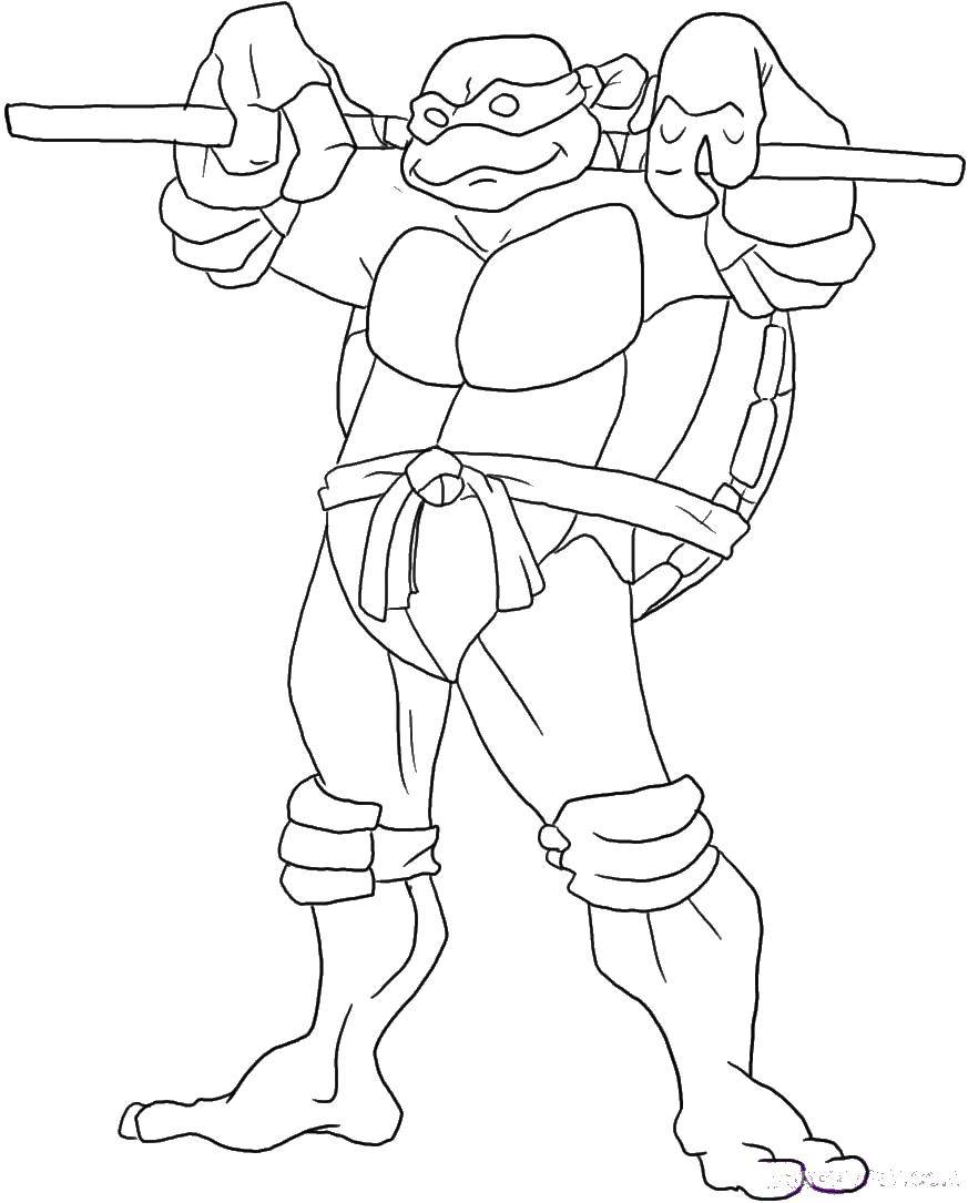 Coloring Ninja turtle and stick. Category teenage mutant ninja turtles. Tags:  ninja turtle, shell, belt.