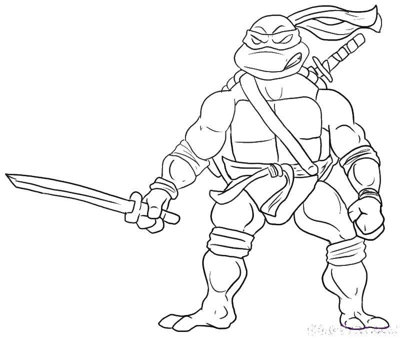 Coloring Ninja turtle.. Category teenage mutant ninja turtles. Tags:  ninja turtle, turtles, weapons, cartoons.
