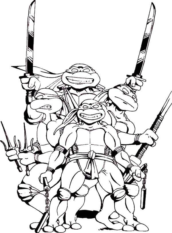 Coloring Teenage mutant ninja turtles with weapons. Category teenage mutant ninja turtles. Tags:  ninja turtle, turtles, weapons, cartoons.