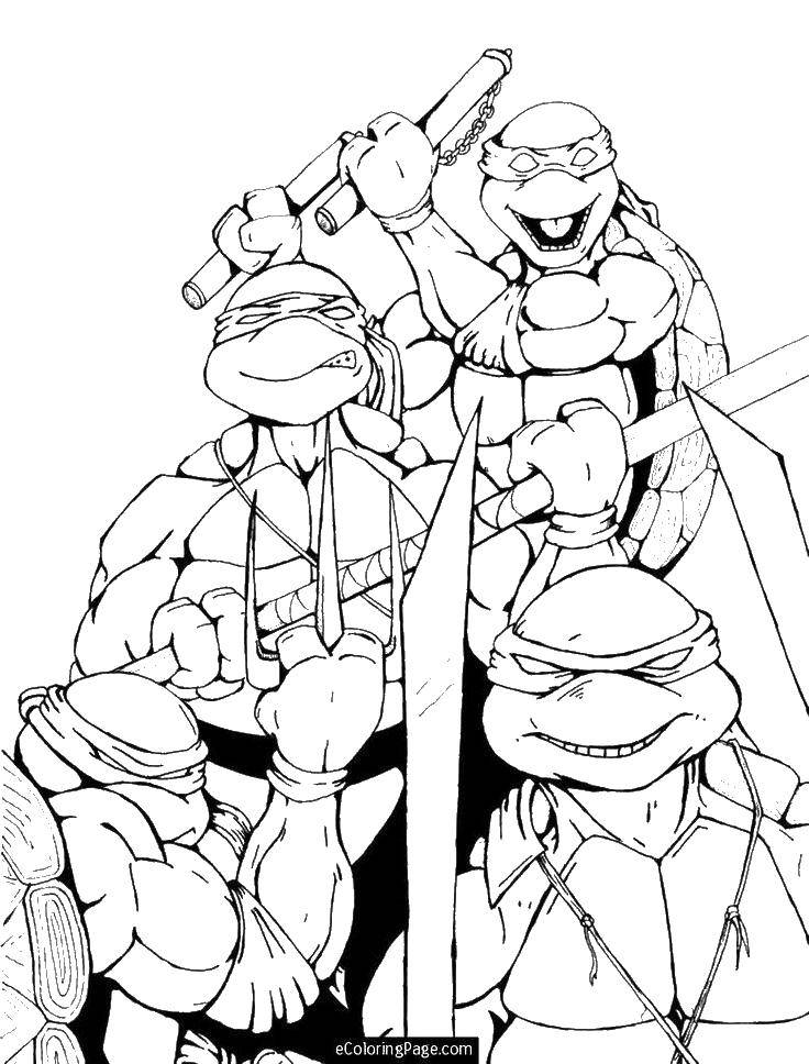 Coloring Teenage mutant ninja turtles. Category teenage mutant ninja turtles. Tags:  turtles cartoons, ninja turtles, comics.