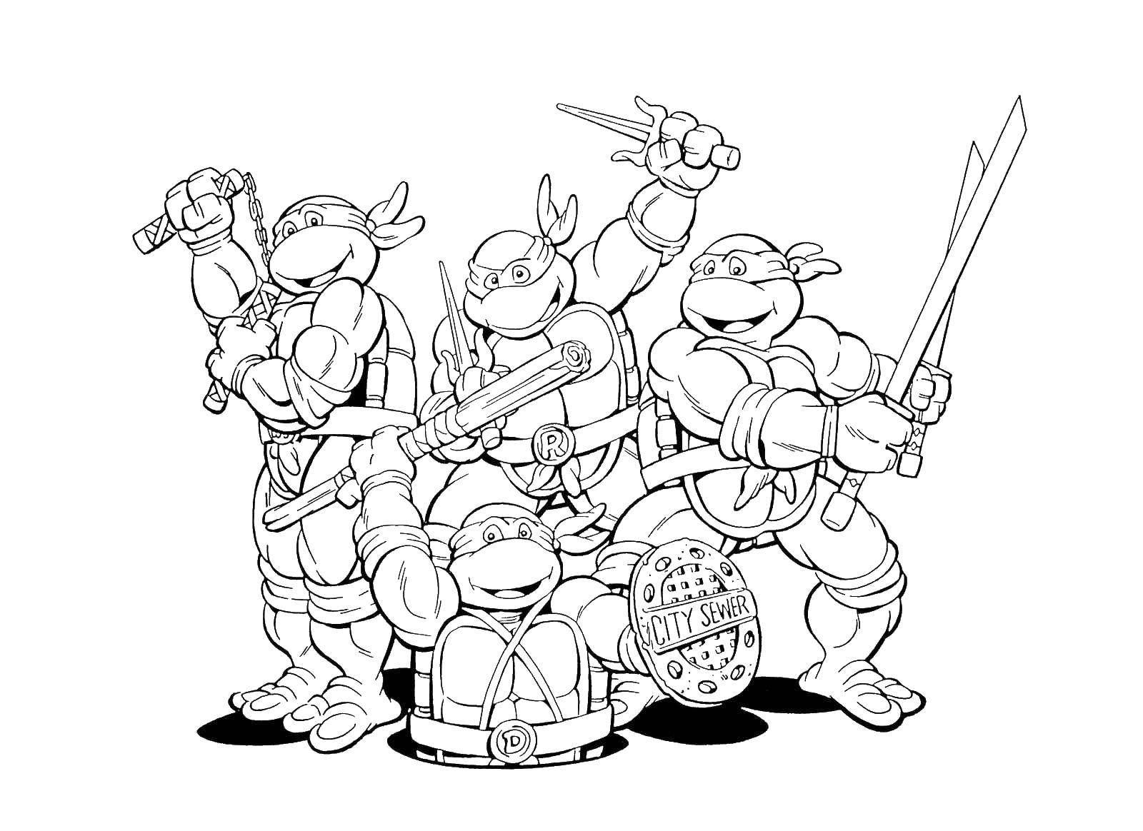Coloring Turtles. Category teenage mutant ninja turtles. Tags:  ninja turtle, turtles, weapons, cartoons.