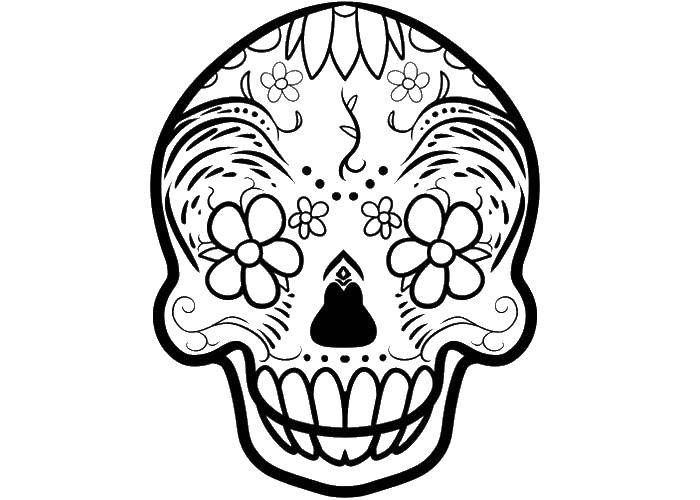 Coloring Crock and patterns. Category Skull. Tags:  Skull, patterns.