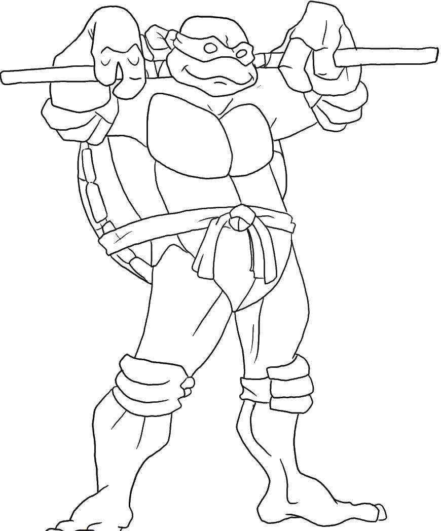 Coloring Donatello with his stick. Category teenage mutant ninja turtles. Tags:  Comics, Teenage Mutant Ninja Turtles.
