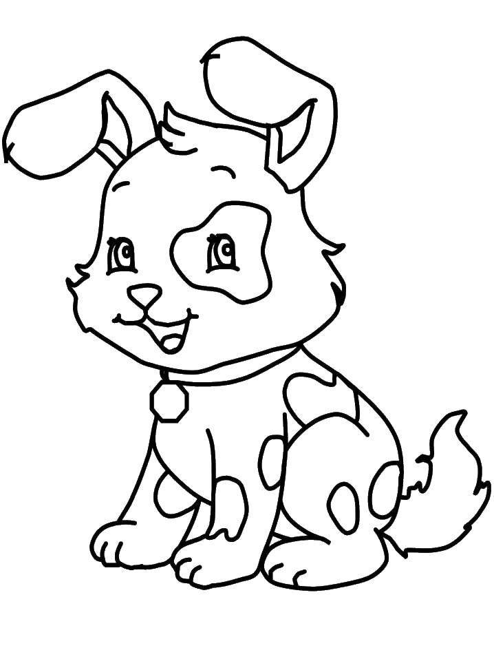 Coloring A friend in spots. Category Pets allowed. Tags:  Animals, dog.